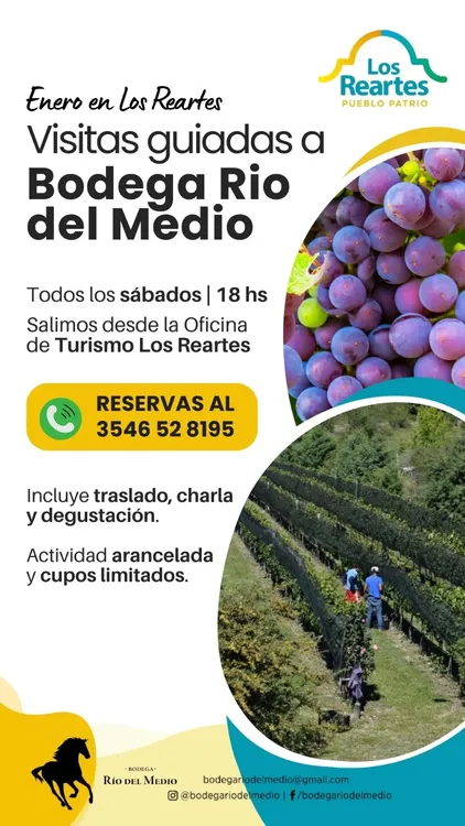 f1f3f929-a565-4e2a-9863-8717c6fd7935