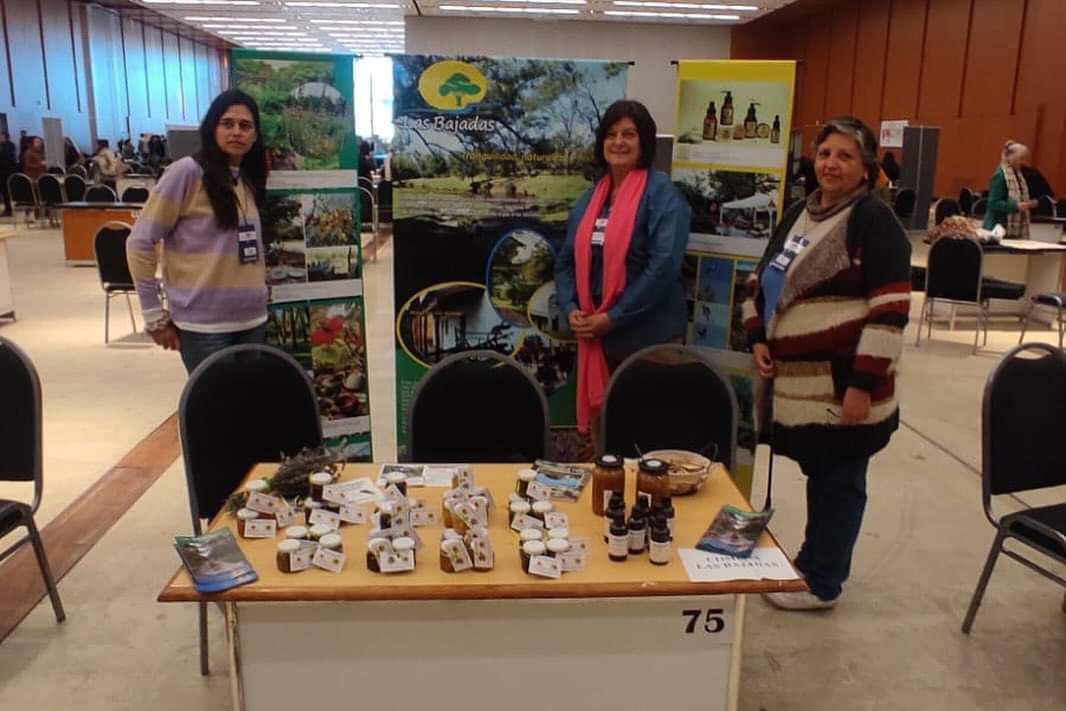 9c7d85d1-02aa-46f8-926f-a9efe809885e