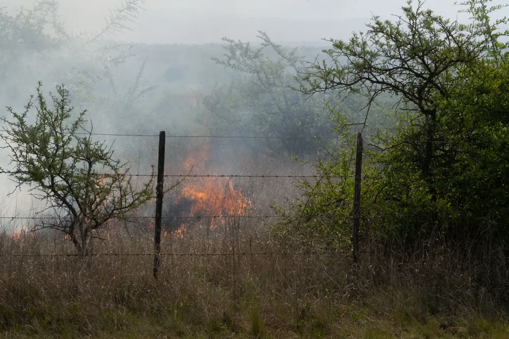 Incendio en Villa General Belgrano -  Foto: Gentileza Sebastián Gil Miranda