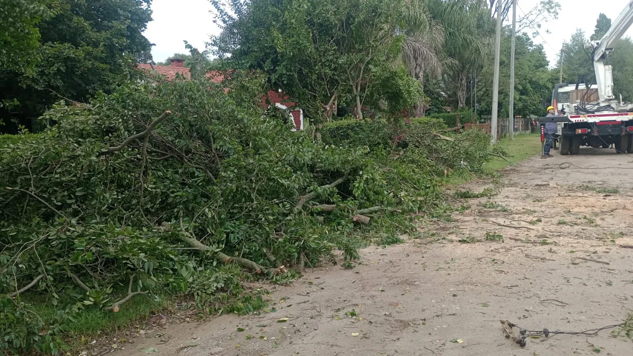 a0f71626-40a9-42c7-9968-9dd6022c12c3