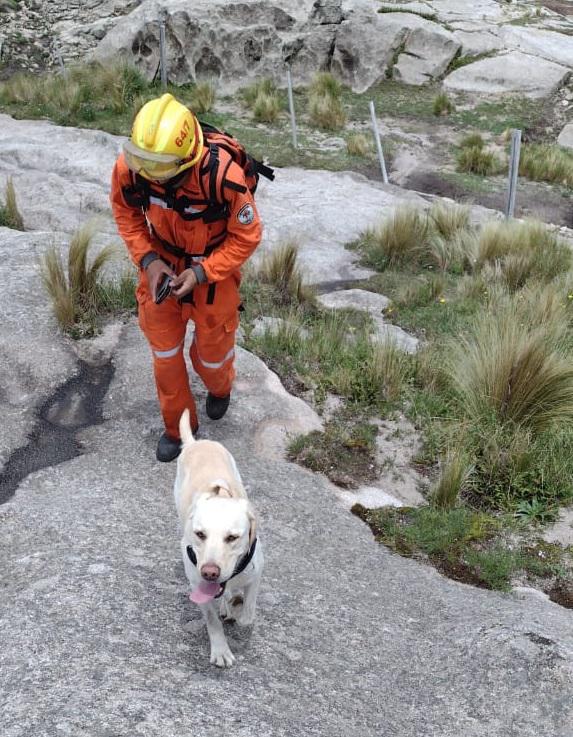 Perro de búsqueda en el Cerro Champaquí 07
