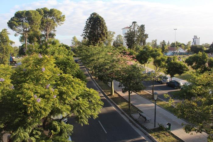 IMAGEN PARA GUIA ABOLADO URBANO