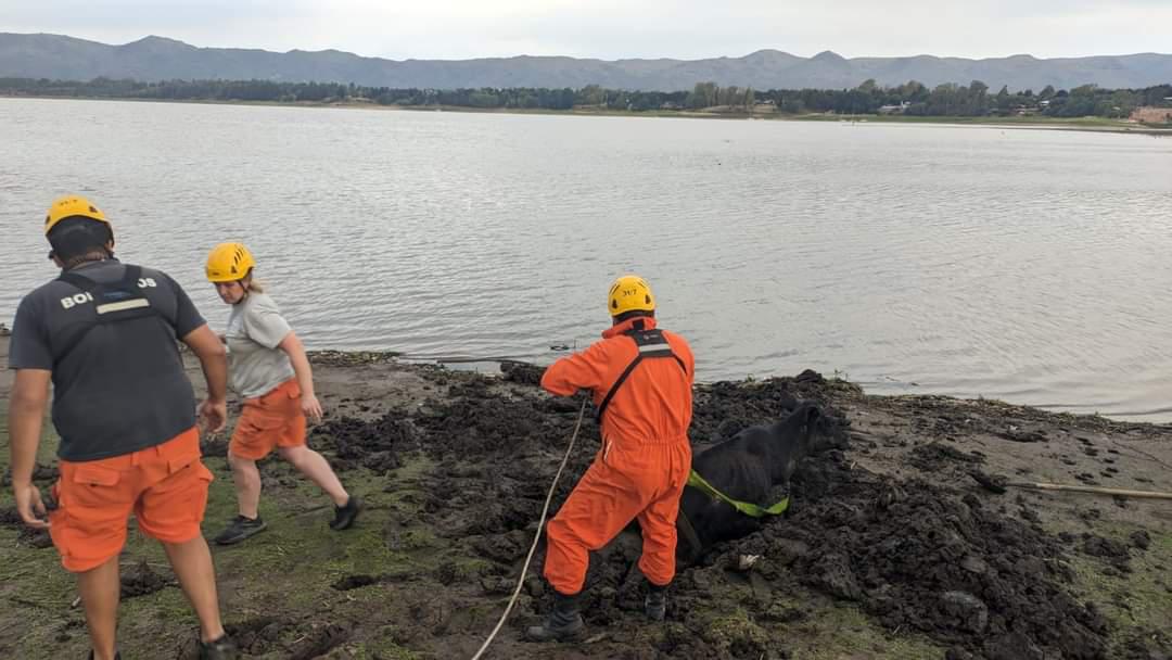 8f2914e8-3774-4206-8fc2-b91c28fb7b82