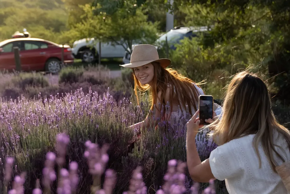 Foto: Prensa "Lavandas en la Villa Festival")
