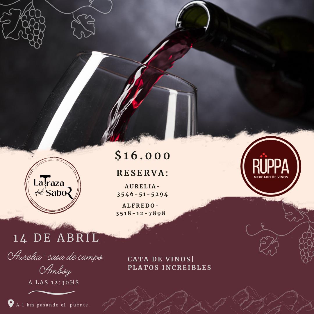 14.4 amboy cata de vino