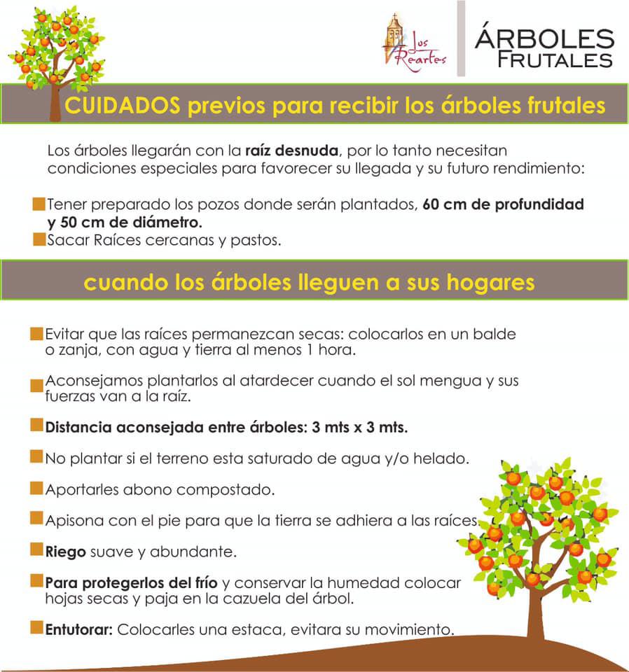 los reartes arboles frutales