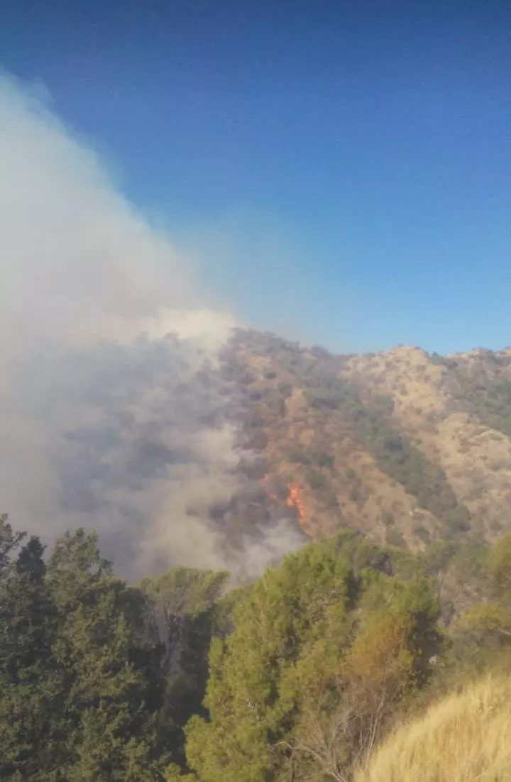Sucede ahora: incendio en la zona del paredón del Dique de Los Molinos 