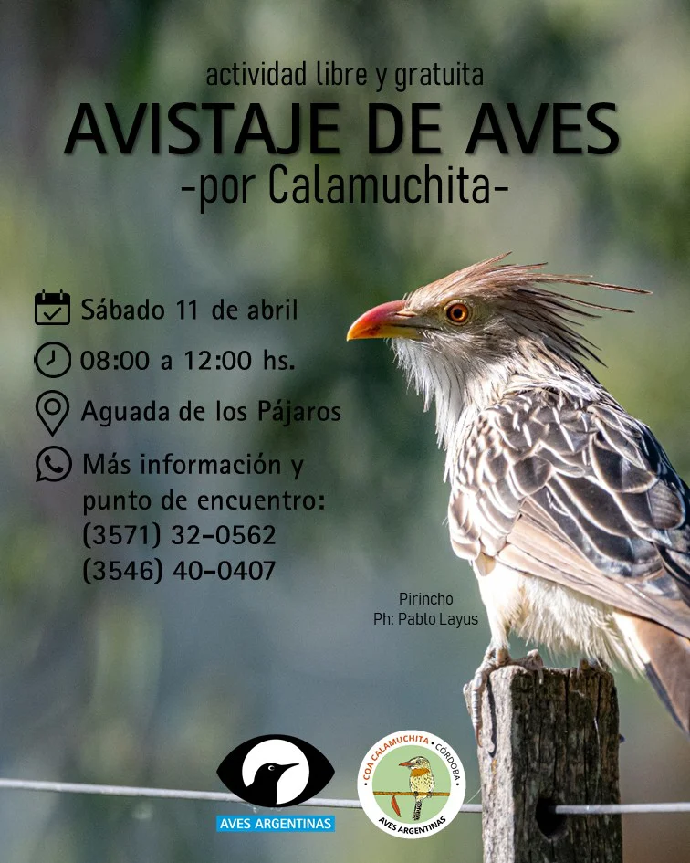 WhatsApp Image 2026-04-09 at 12.06.39