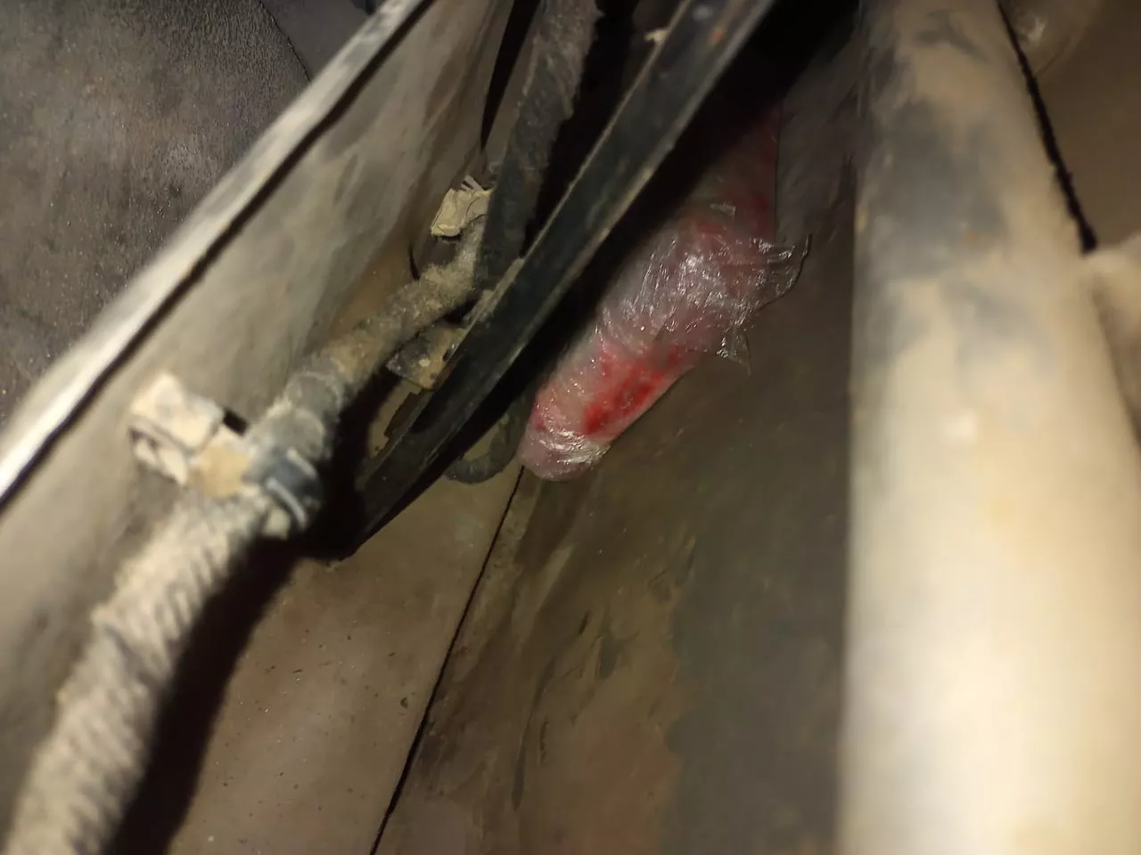 Fotos: Prensa Policía Federal Argentina