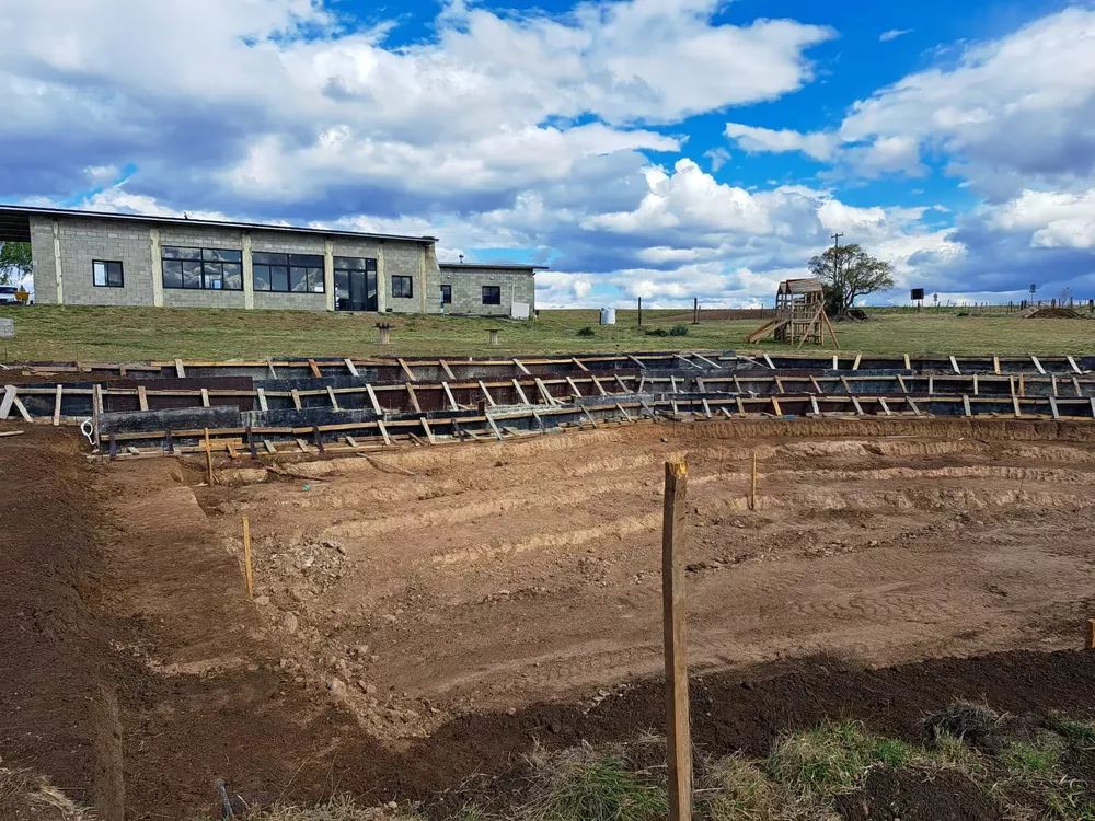 image chirivita4jpeg