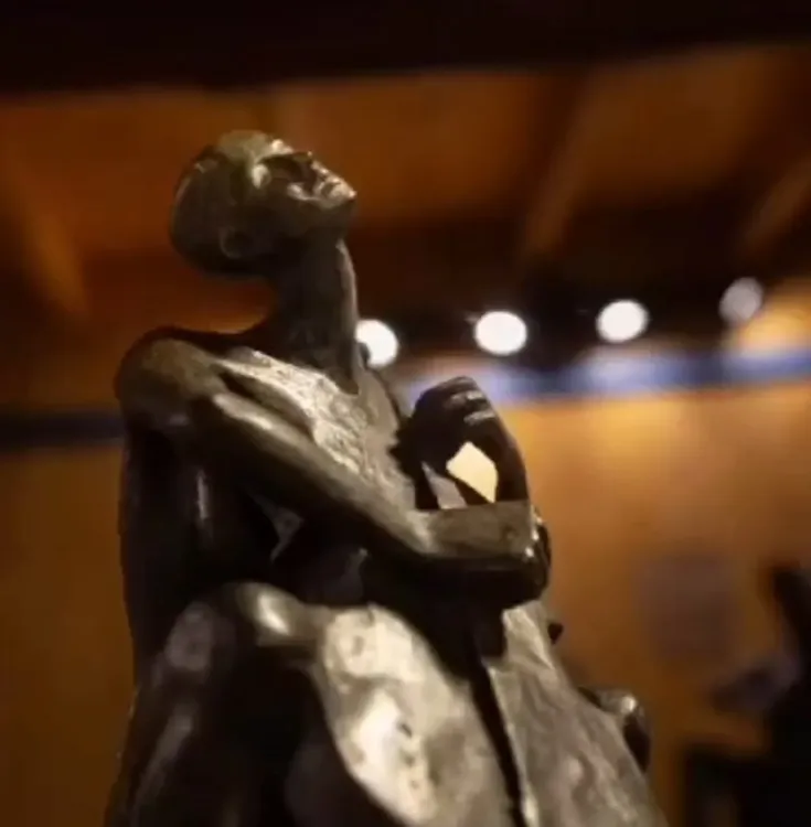 aditi devi artista villa general belgrano