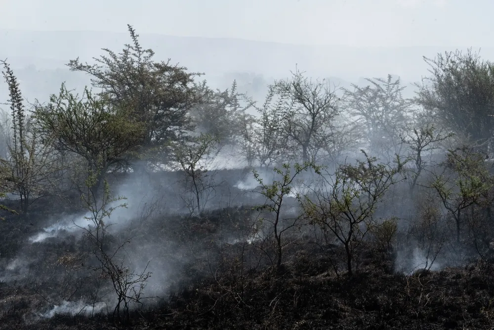 Incendio en Villa General Belgrano -  Foto: Gentileza Sebastián Gil Miranda