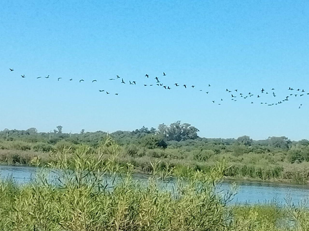 Aguada de los Pájaros