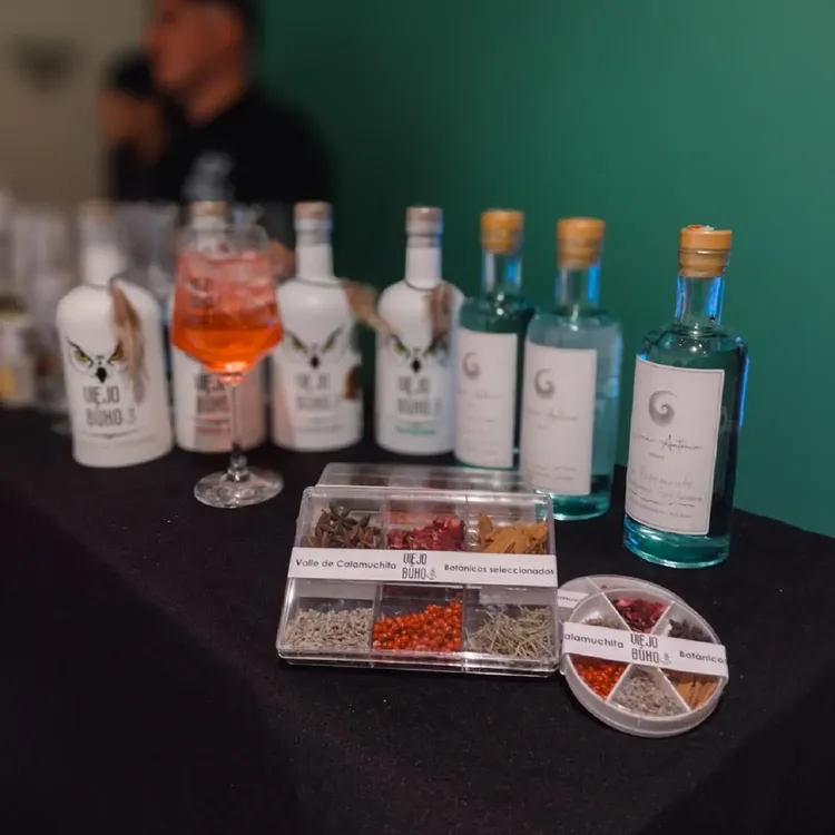 Viejo Búho Gin