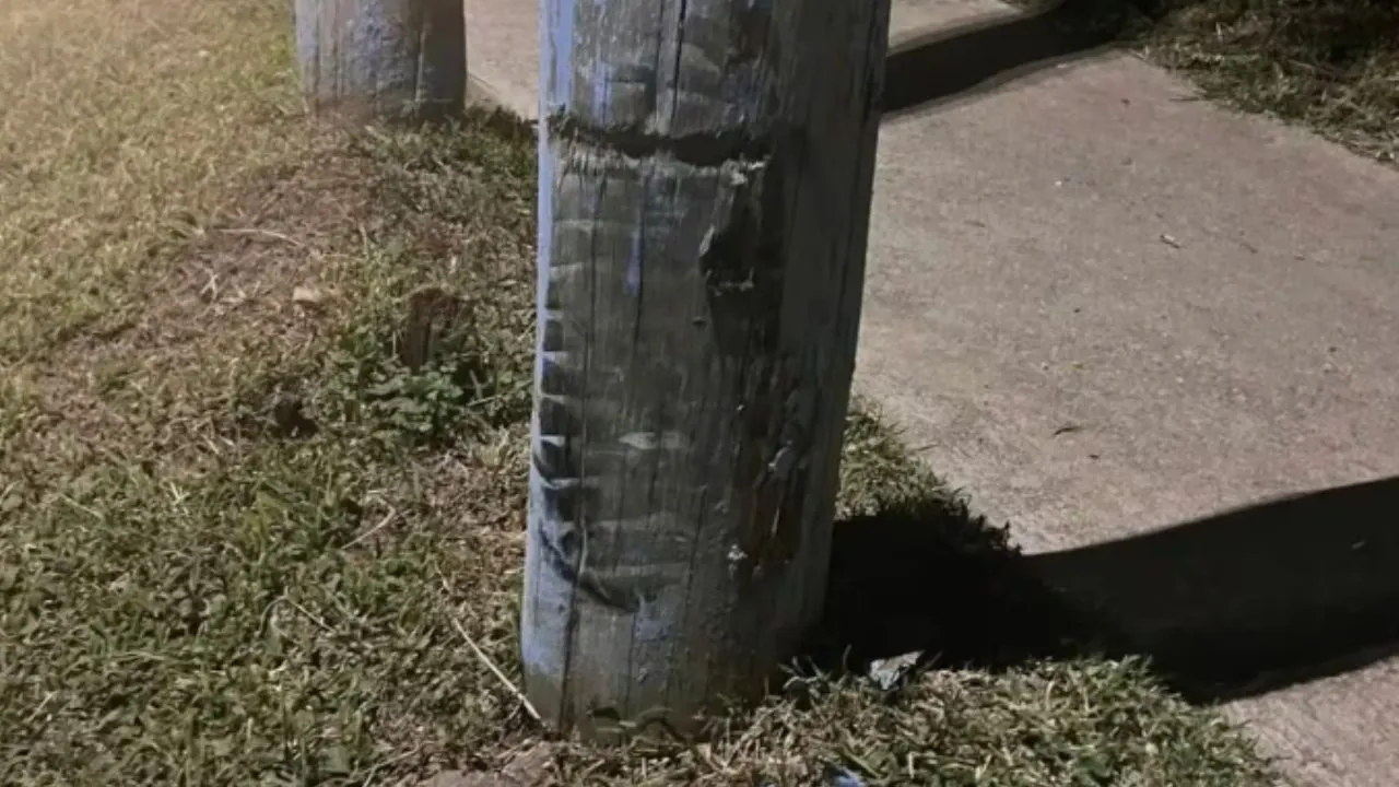 f1280x720-255230_386905_5050