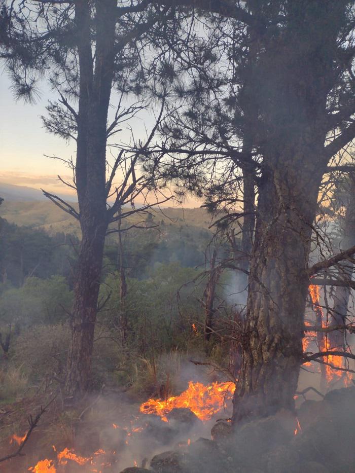 INCENDIO LUTTI 06