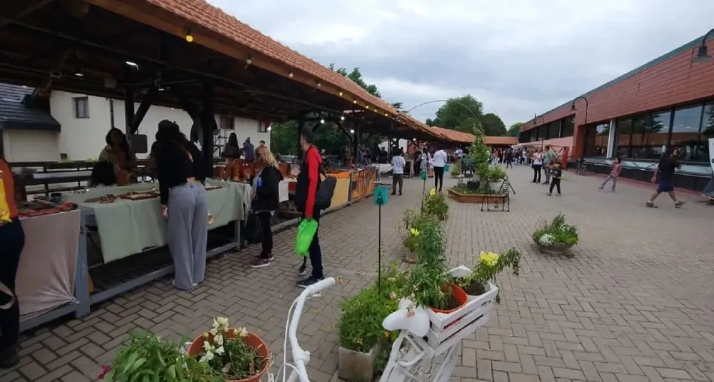 feria de las culturas