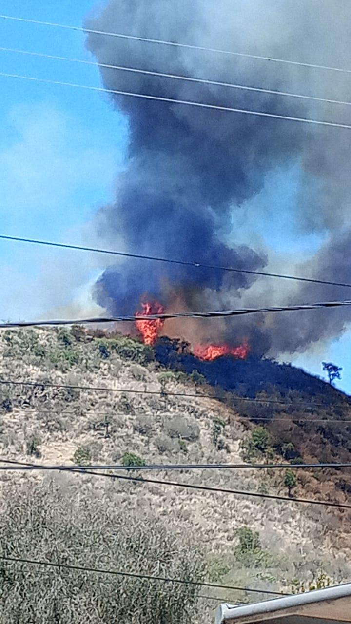 4207ffff-c1fd-4324-a505-50053a88a09b