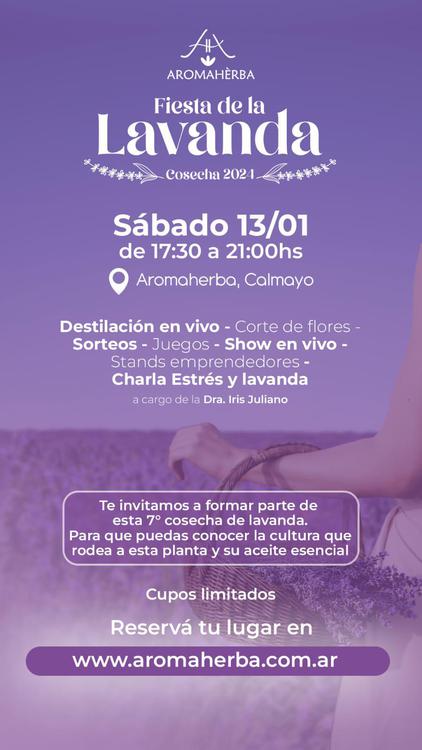 13.01 cosecha de lavanda aromaherba