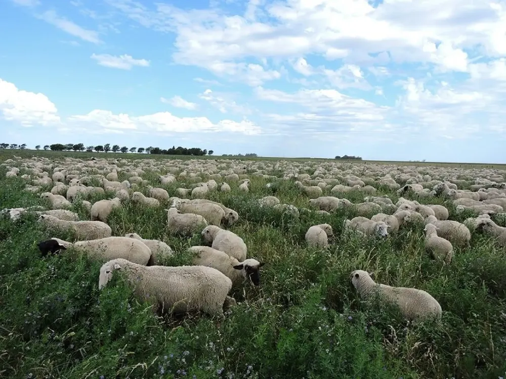 WhatsApp Image 2024-12-17 at 8.00.46 PM