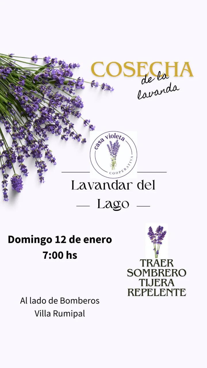 WhatsApp Image 2025-01-03 at 11.44.53 AM