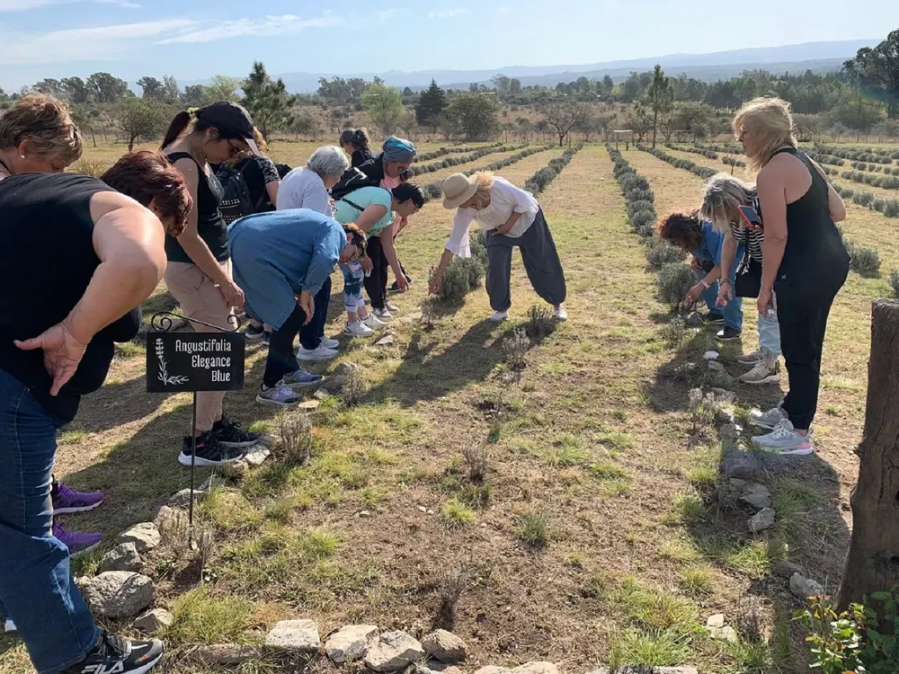 paseos islavanda 1 (4)