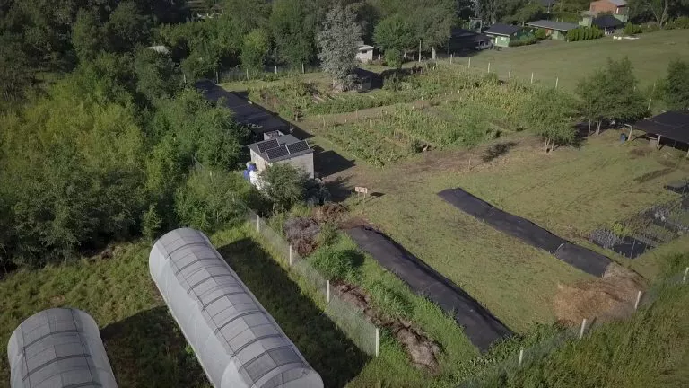Villa Ciudad Parque se transformó en la primera localidad de la provincia autorizada a producir cannabis medicinal