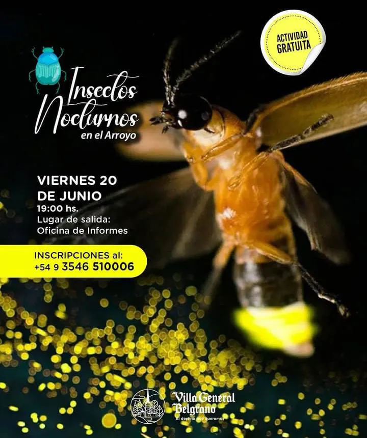 viernes 20 de junio (3)