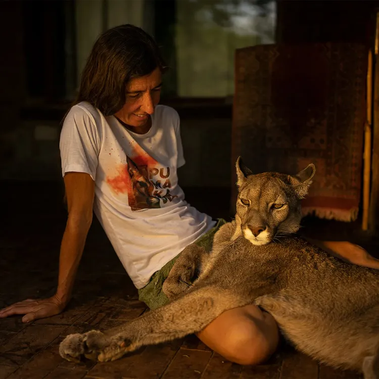 reserva pumakawa villa rumipal