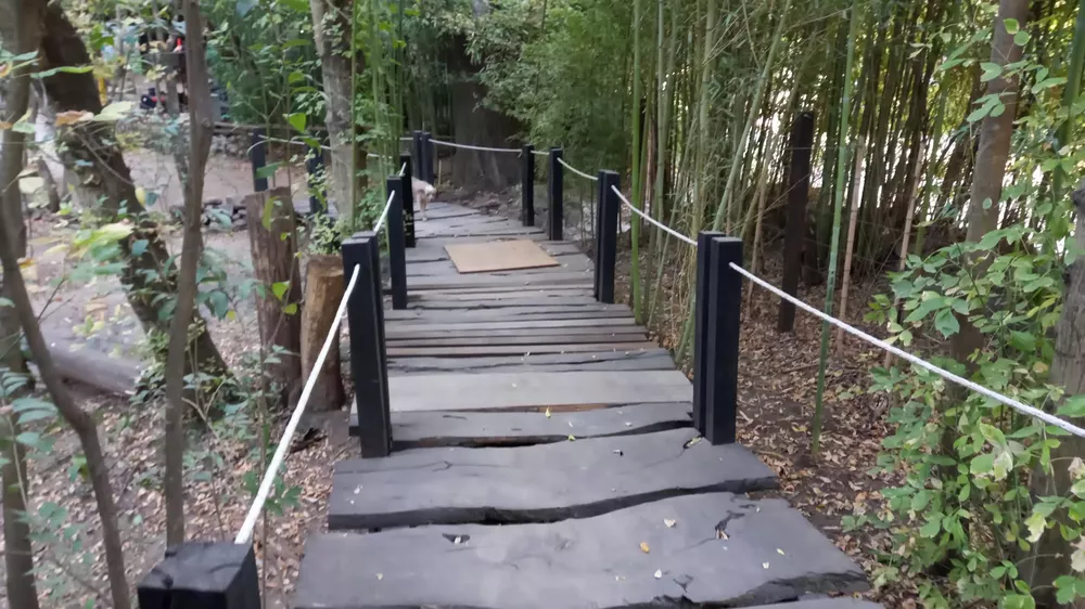 Bosque encantado de Don Otto