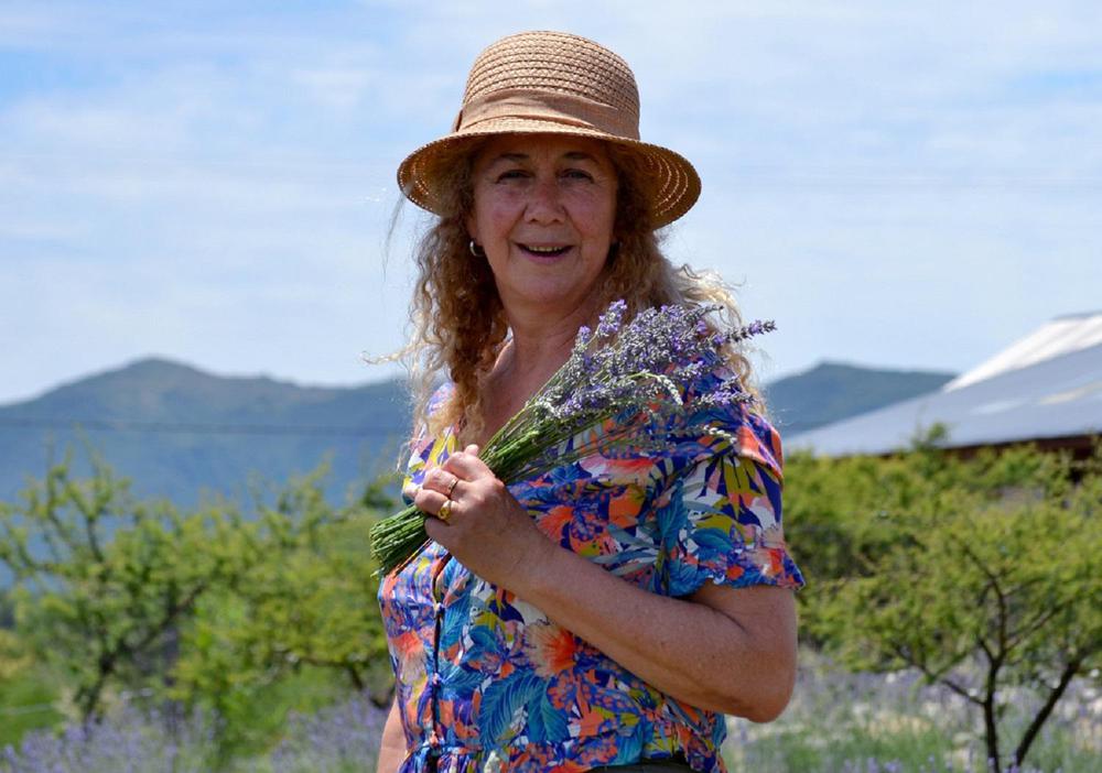 Cultivo de lavandas en Los Reartes - Islavanda 