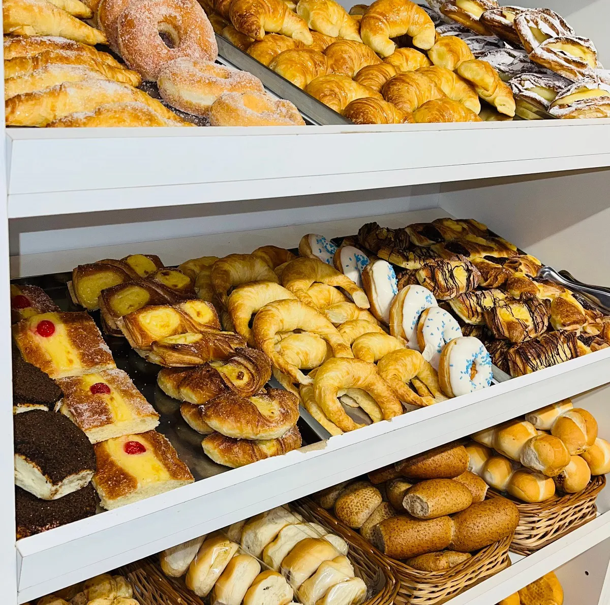 pan comido junio 2025 (9)