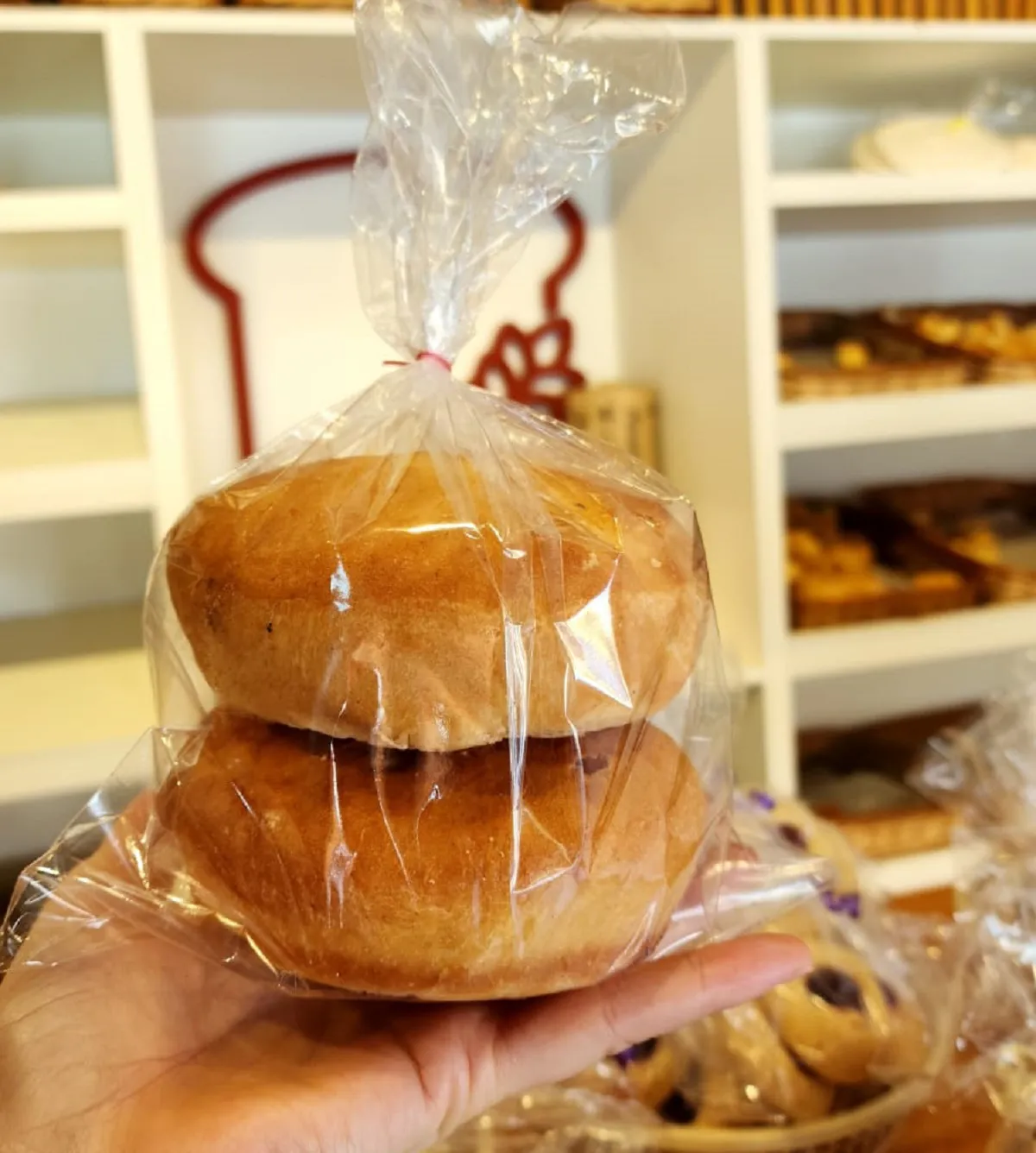 pan comido junio 2025 (3)