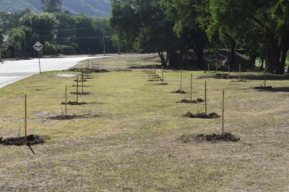 forestar calamuchita 3