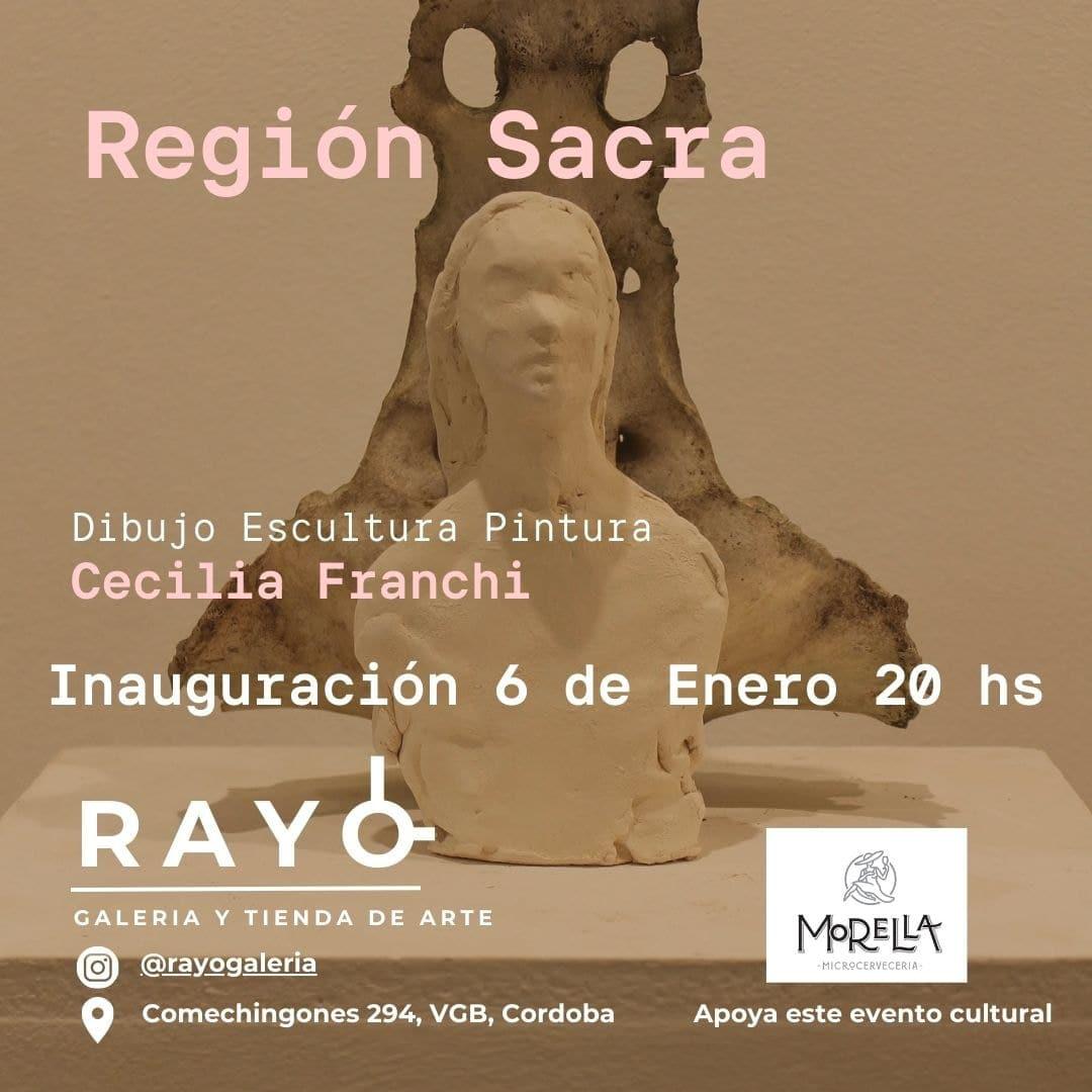 el rayo muestra de cecilia franchin