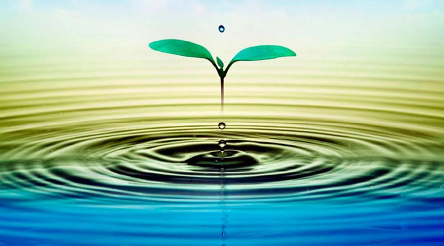 Biorremediacion_01