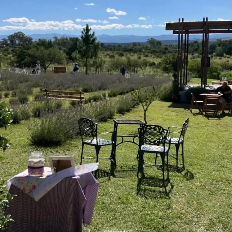 Islavanda Festival de la Cosecha