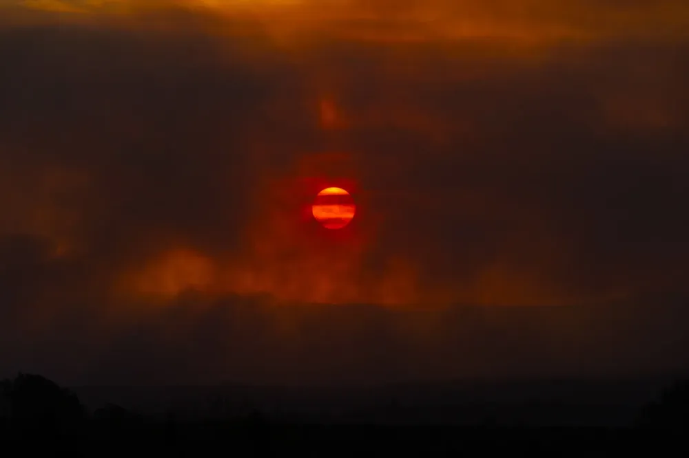 Sebastian Gil Miranda pic 02