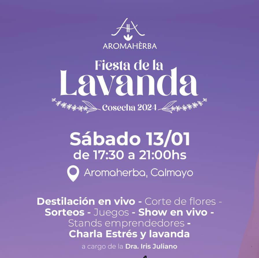 CUAD 13.01 cosecha de lavanda aromaherba