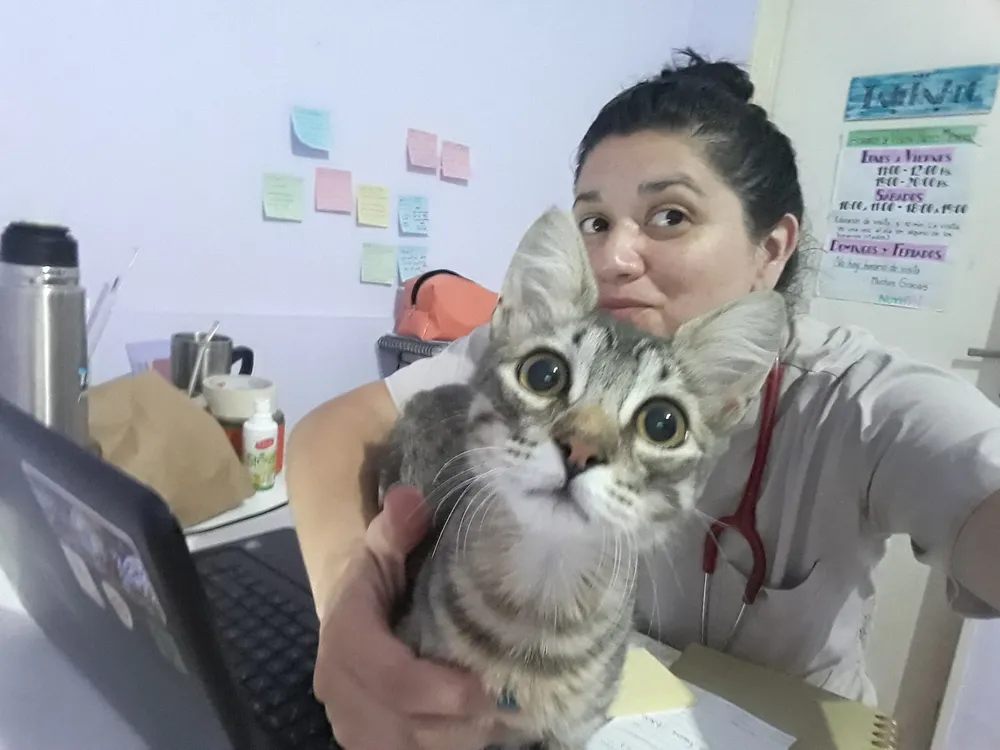 Medivet - Veterinaria Villa general belgrano