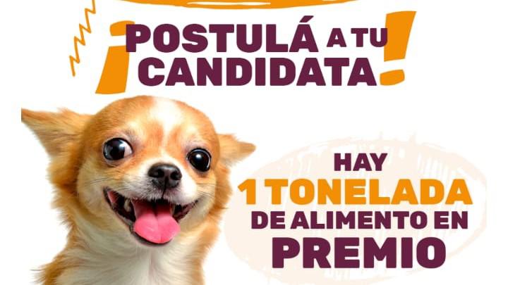 concurso nutribon