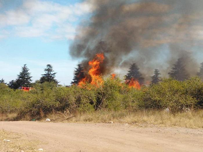 INCENDIO CERRO PISTARINI EMBALSE 01