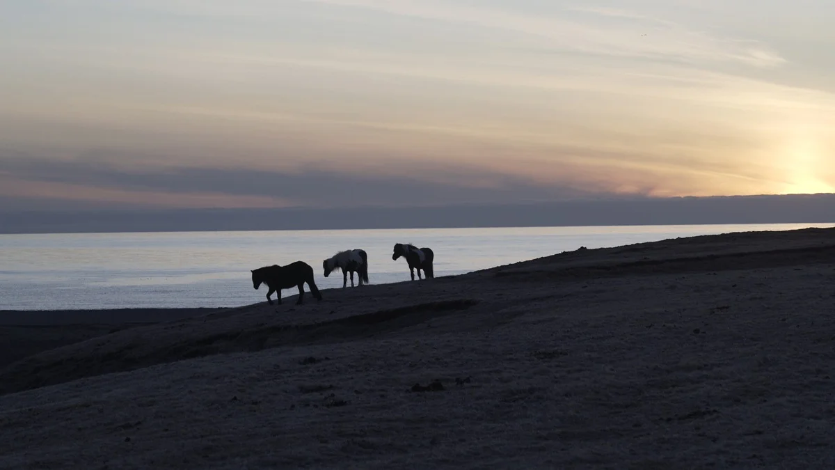 Pelicula Errante (7)