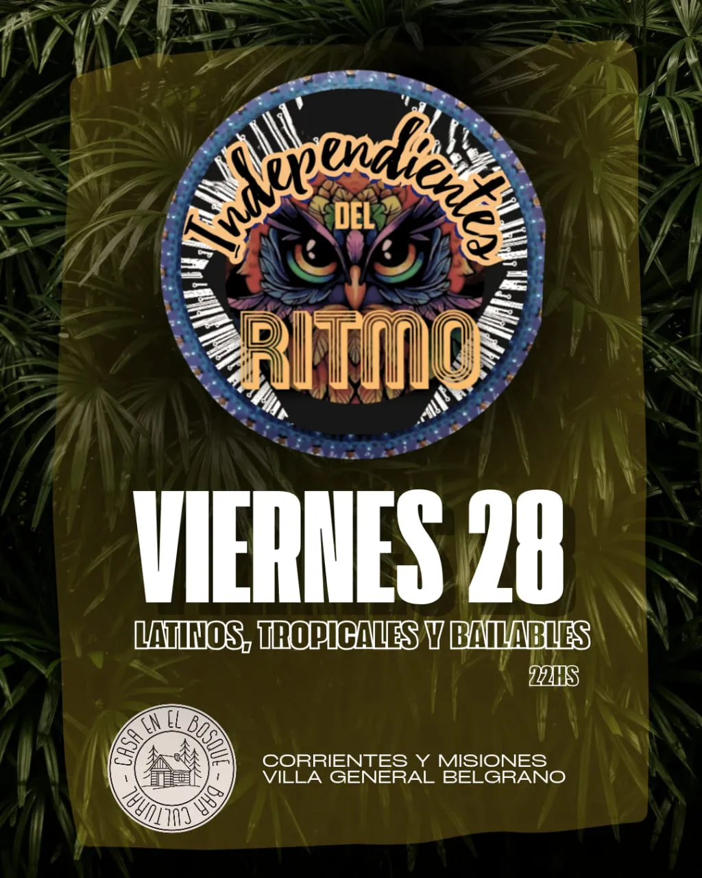 WhatsApp Image 2025-11-26 at 19.05.32