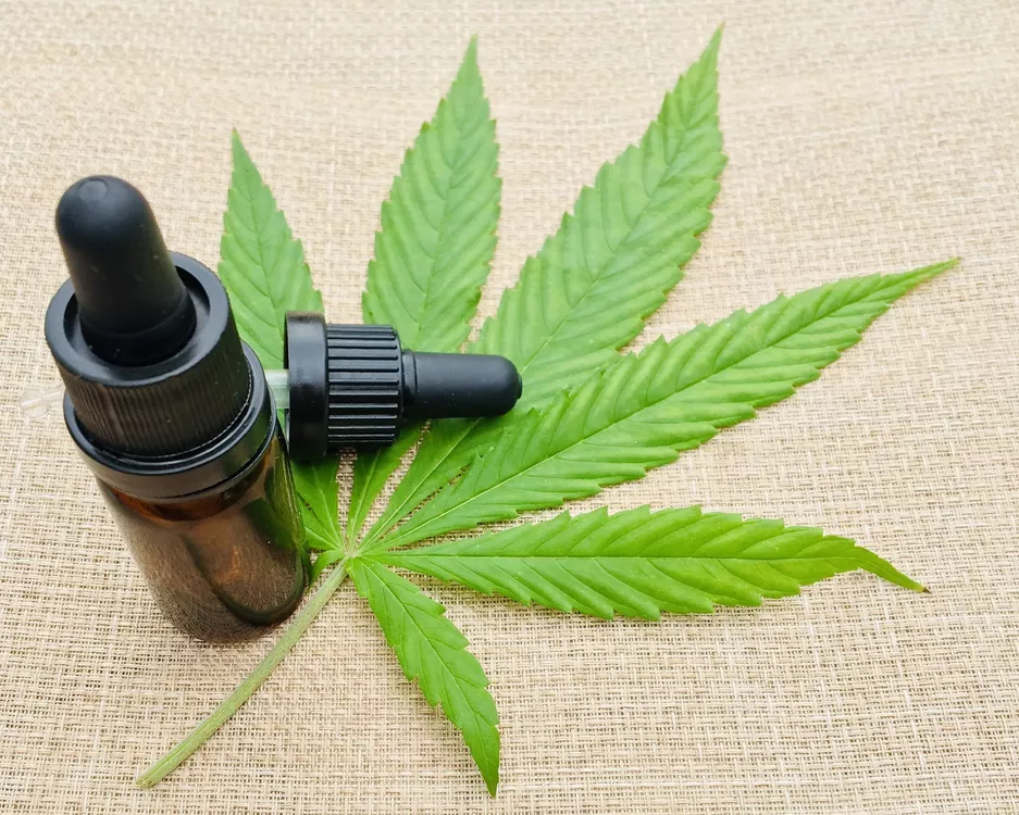 Una psicóloga de Calamuchita comenzó a ser juzgada por supuesta comercialización de aceite de cannabis y ejercicio ilega