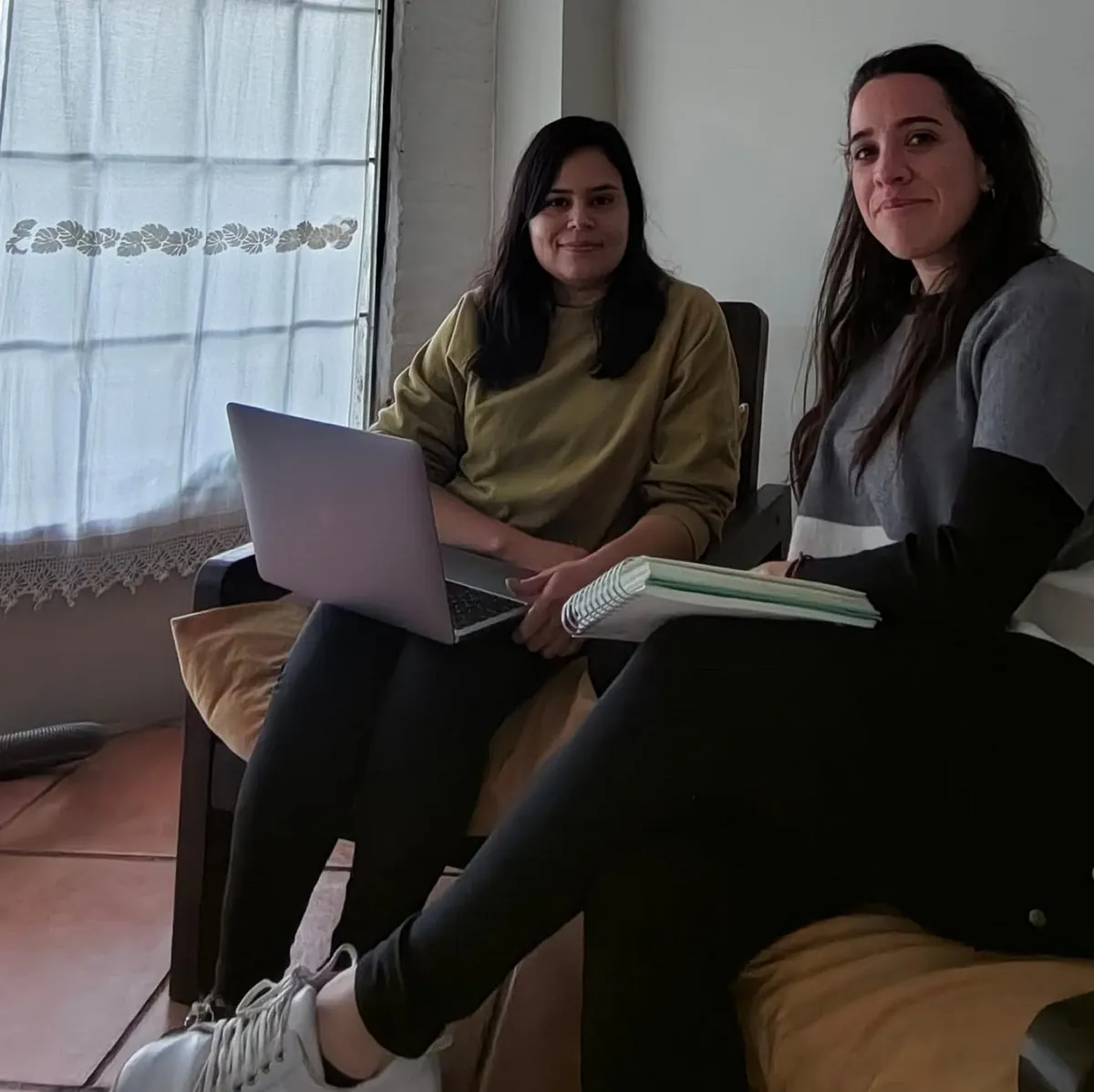 proyecto física isfa 2025 (5)