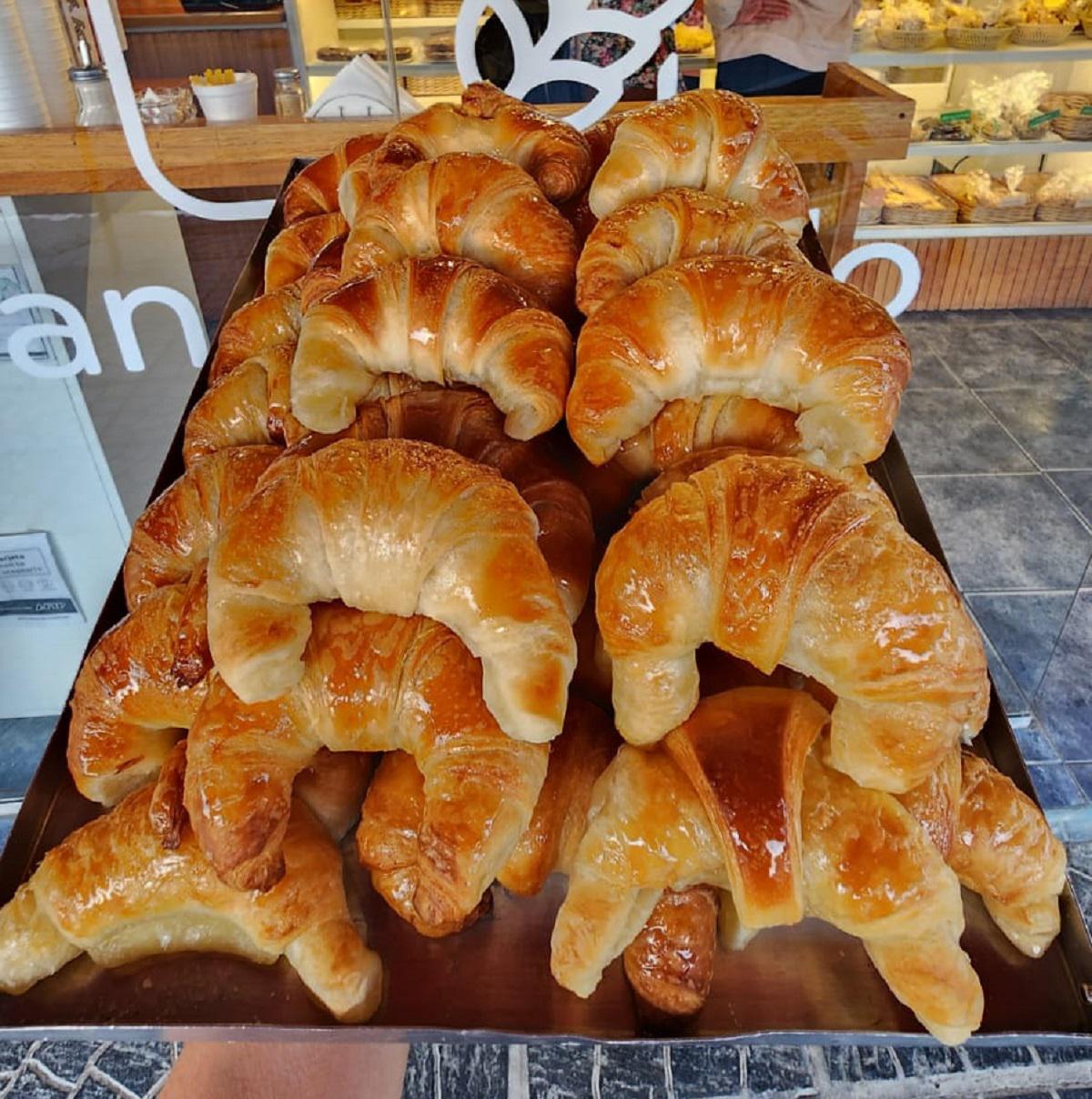 WhatsApp Image 2024-05-09 at 16.14.25