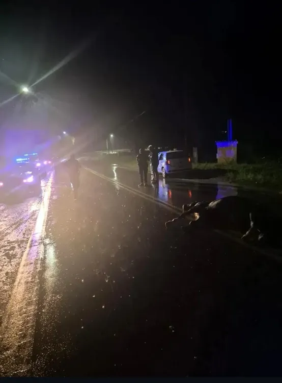 637818824_10243715811296532_5056784548877347314_n