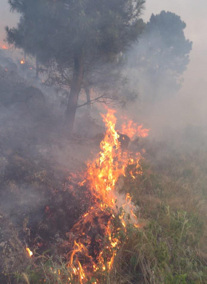 INCENDIO LUTTI 08