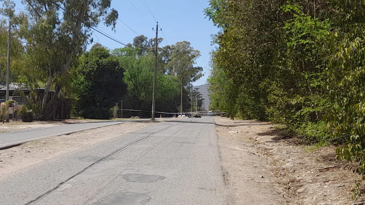 461709163_10236161537644412_2069172355330394368_n